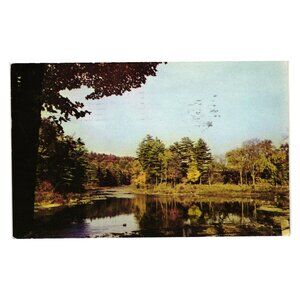 Ansco Color Dexter Beauty Postcard Trees Lake Reflection Spooner WI Vintage